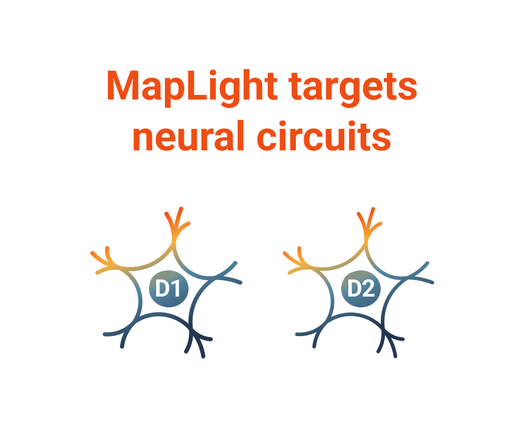 MapLight targets neural circuits in D1 and D2